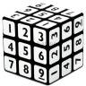 Fanxin Sudoku Cube 3x3x3